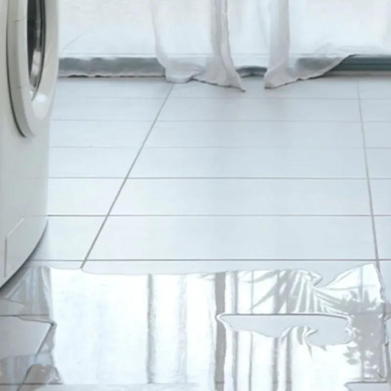 Appliance Leak Cleanup in Kewanee, IL