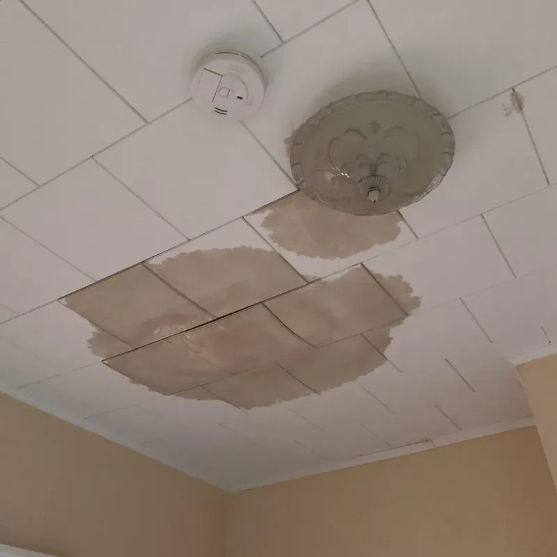 Ceiling Water Damage Repair in Kewanee, IL